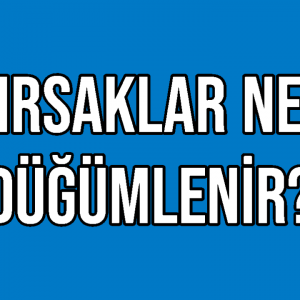 Bağırsaklar Neden Düğümlenir?