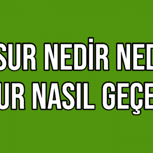 Basur Nedir Neden Olur Nasıl Geçer?