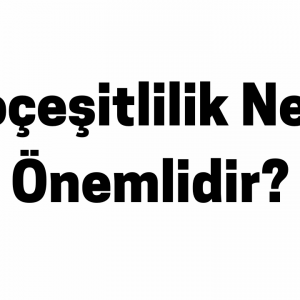 Biyoçeşitlilik Neden Önemlidir