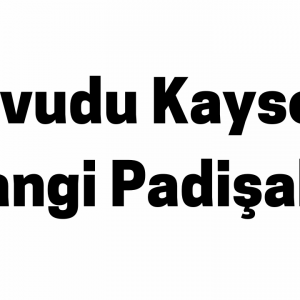 Davudu Kayseri Hangi Padişah
