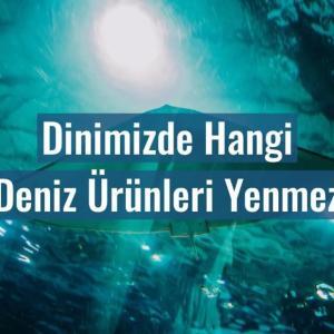 Dinimizde Hangi Deniz Ürünleri Yenmez