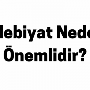 Edebiyat Neden Önemlidir