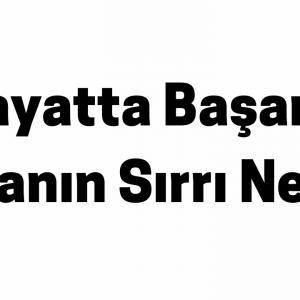 Hayatta Başarılı Olmanın Sırrı Nedir