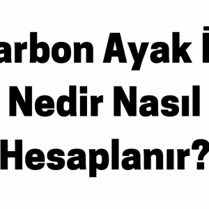 Karbon Ayak İzi Nedir Nasıl Hesaplanır