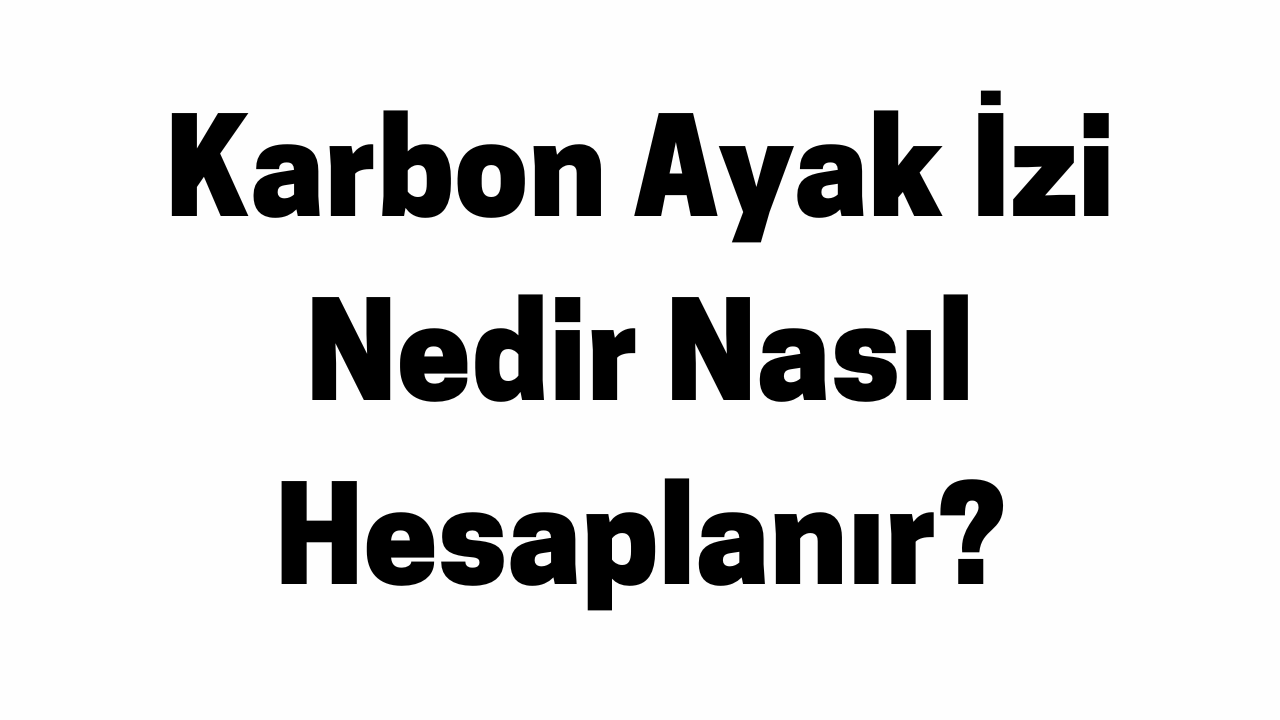Karbon Ayak İzi Nedir Nasıl Hesaplanır