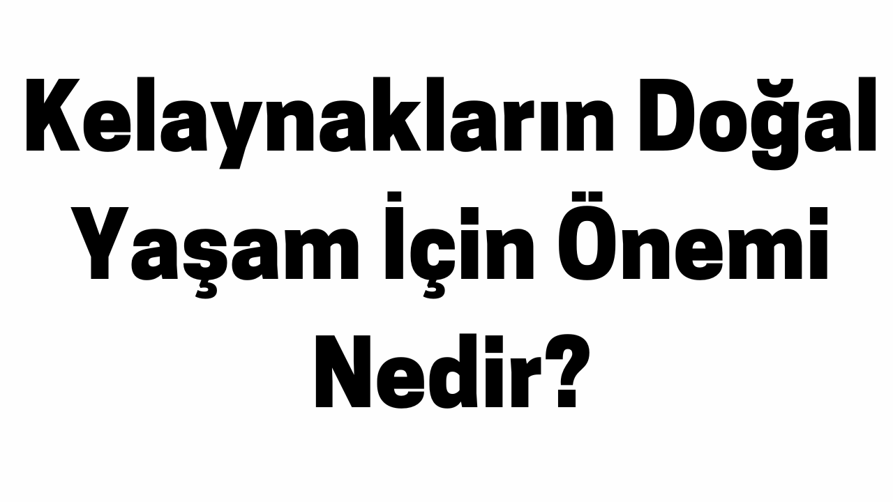 Kelaynakların Doğal Yaşam İçin Önemi Nedir