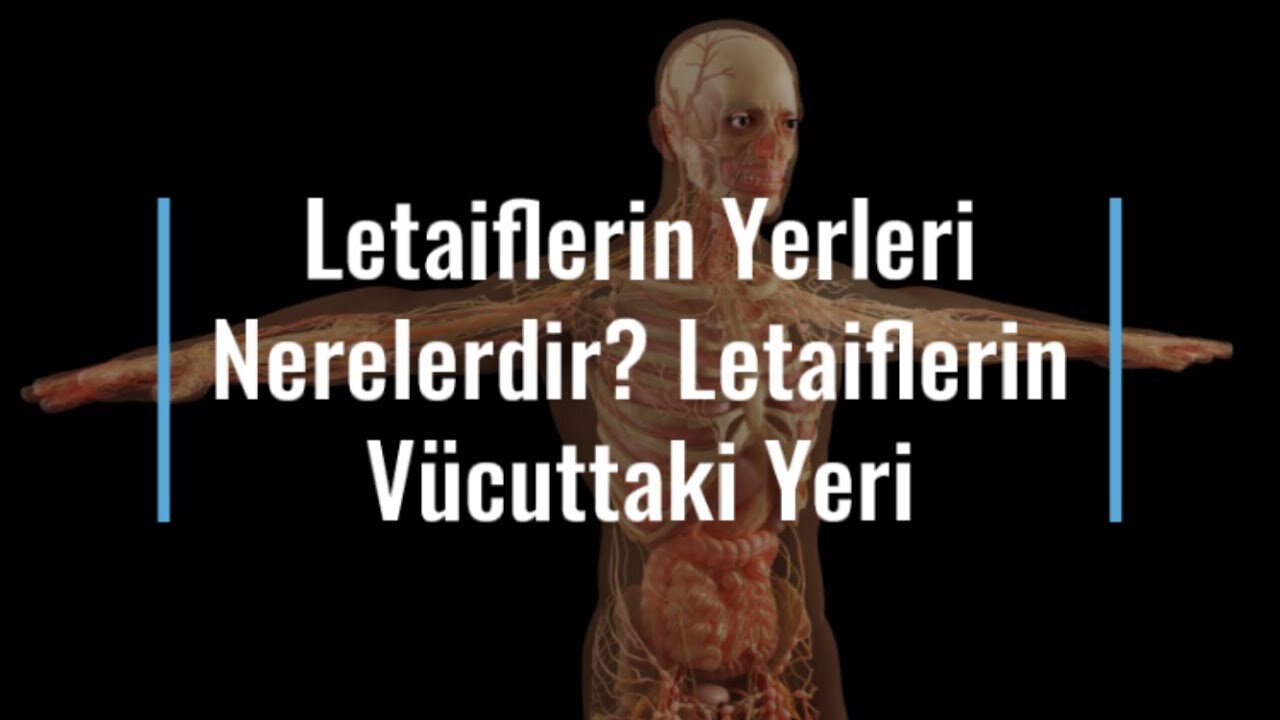 Letaiflerin Yerleri Nerelerdir? Letaiflerin Vücuttaki Yeri