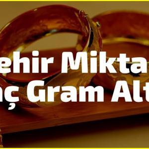 Mehir Miktarı Kaç Gram Altın