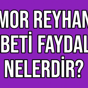 Mor Reyhan Şerbeti Faydaları Nelerdir