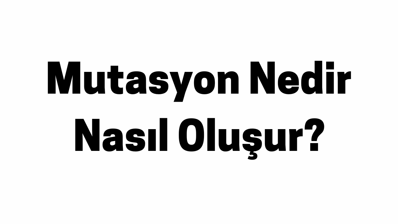 Mutasyon Nedir Nasıl Oluşur