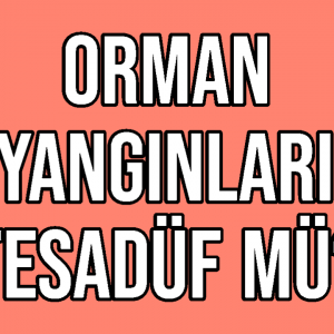 Orman Yangınları Tesadüf Mü