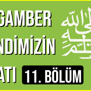 Peygamber Efendimizin Hayatı 11