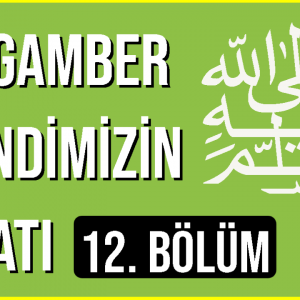 Peygamber Efendimizin Hayatı 12