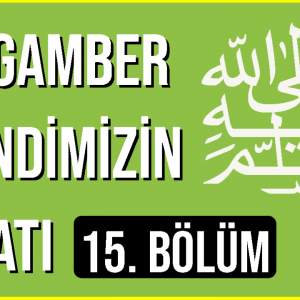 Peygamber Efendimizin Hayatı 15