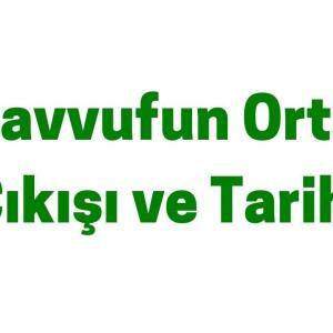 Tasavvufun Ortaya Çıkışı ve Tarihi