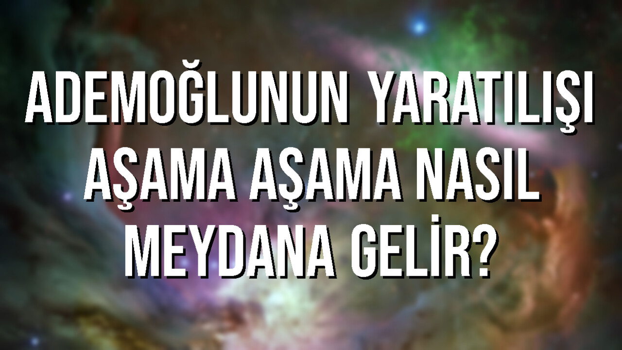 ademoğlunun yaratılışı aşama aşama nasıl meydana gelir