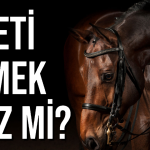 at eti yemek caiz mi at eti helal mi
