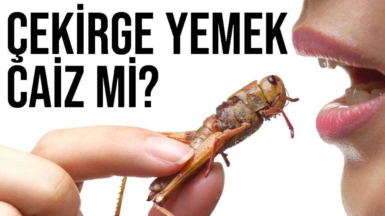 çekirge yemek caiz mi