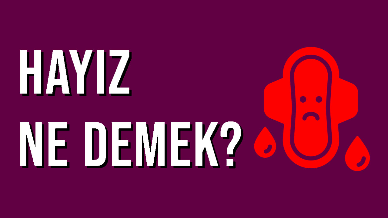 Hay Hay Ne Demek At Michael Godfrey Blog