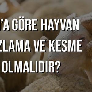 hayvan boğazlama ve kesme