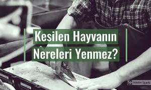 kesilen hayvanın nereleri yenmez