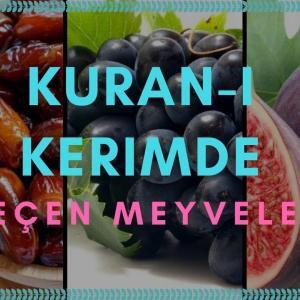 kuranı kerimde geçen meyveler