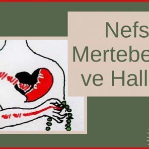 nefsin mertebeleri ve halleri
