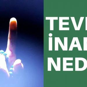 tevhid inancı nedir