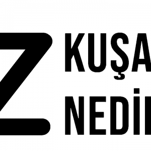 z kuşağı nedir